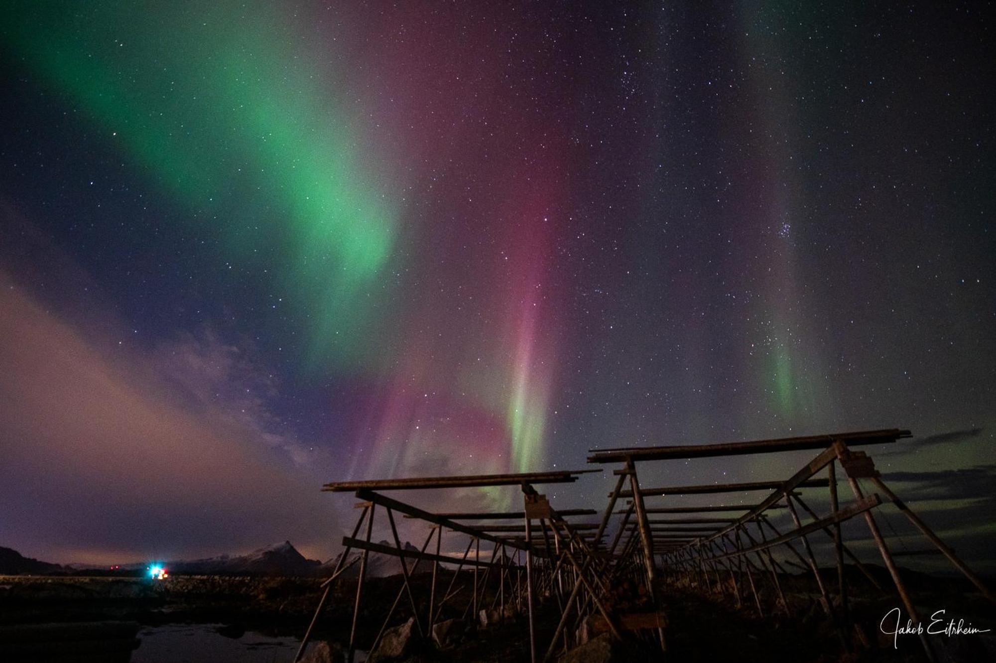 Fish Factory -The Real Lofoten Experience Ballstad Zewnętrze zdjęcie